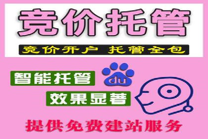 某公司通过SEM运营提升品牌知名度的实践